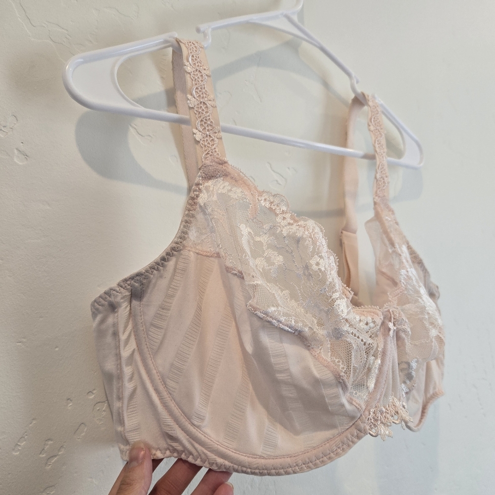 Pink Lace Bra - Picture 6 of 8